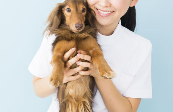 最後まで笑顔のためのエンディングケア | 高石のトリミングならgrooming salon  lächeln