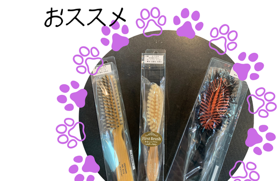 自宅でのケアは天然毛ブラシがおすすめ！／高石のトリミングならgroomingsalonlächeln