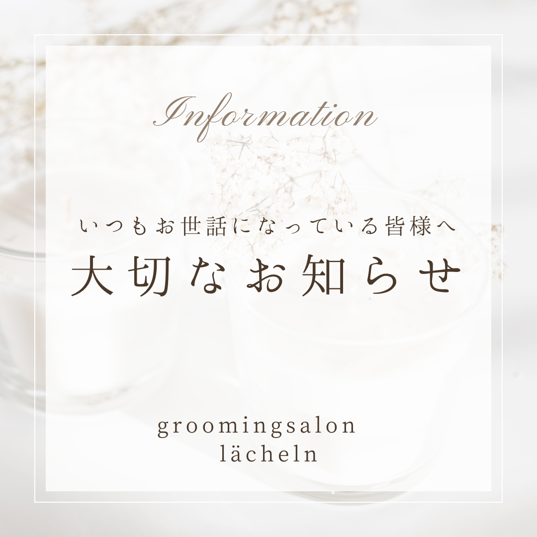 お知らせ