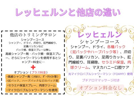 他店のトリミングサロン (Instagramの投稿) (4)